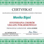 Fitoterapia-przewodu-pokarmowego-Monika-Bigos-dietetykwkrakowie.pl-1